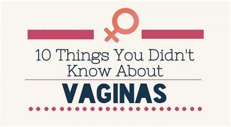 are vaginas attractive|23 Vagina Facts You’ll Want to Tell All Your Friends